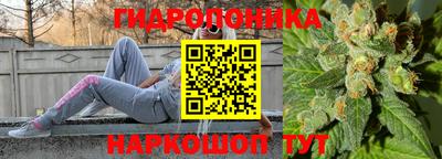 таблы Лесосибирск
